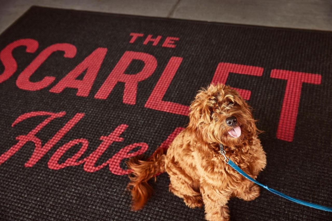 The Scarlet, Lincoln, A Tribute Portfolio Hotel Ngoại thất bức ảnh